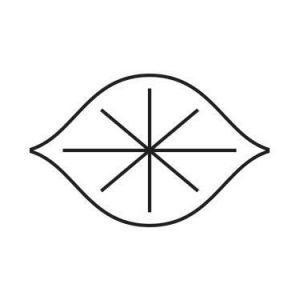 Logo Electric Lemon