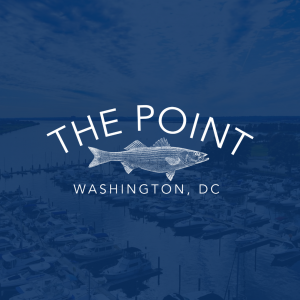 Logo The Point DC